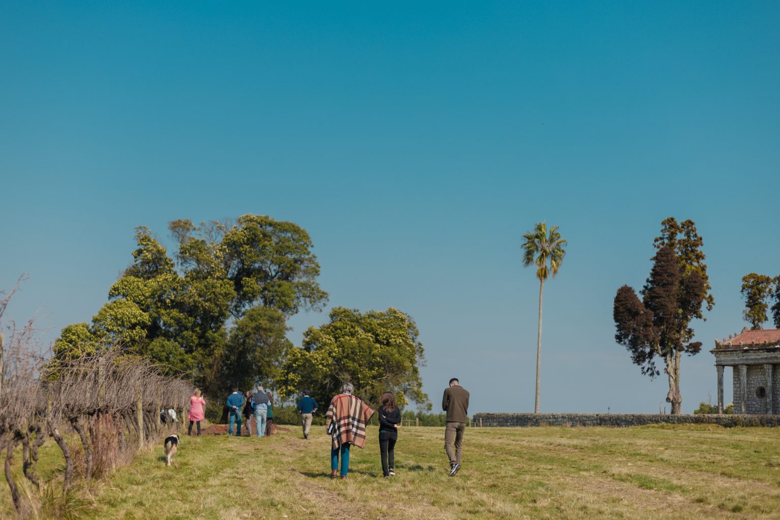 Grupo de turistas caminha no vinhedo da estância paraizo vinícola boutique em passeio de enoturismo